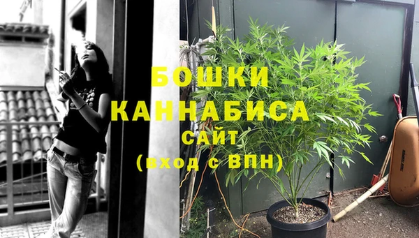 дмт Бронницы