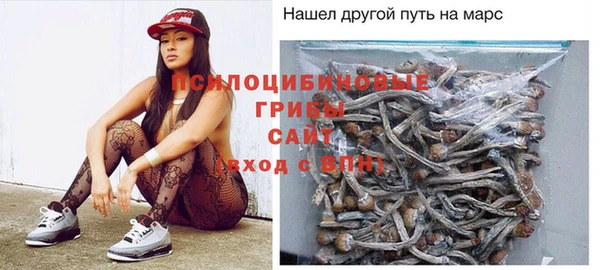 СК Верея